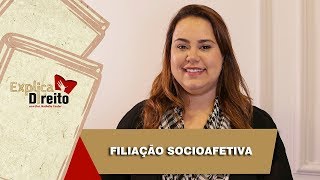 Explica Direito Filiação Socioafetiva  2019 [upl. by Eilra354]