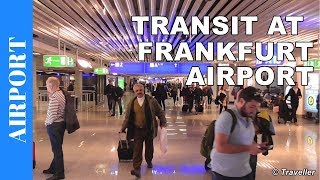 TRANSIT WALK AT FRANKFURT Airport FRA Terminal 1  Connection Flight Transfer Arriving amp Departing [upl. by Rekab]